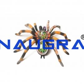 TVETLab Workshop Tools and Consumables Manufacturer India